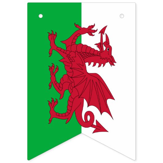 Walisische Flagge & Party Wales Banners / Cymru Ho (Zweite Fahne)