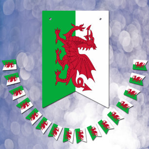 Walisische Flagge & Party Wales Fahnen / Cymru Hoc