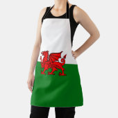 walisische Flagge Schürze (InSitu)