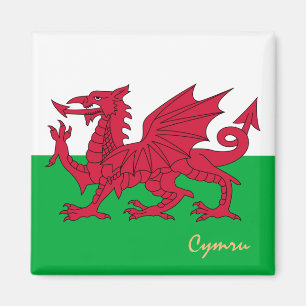 Walisische Flagge & Wales, Urlaub, Sport / Cymru Magnet