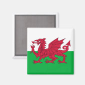 Walisische Flagge (Wales) (walisischer Drache) Magnet (Vorderseite/Rückseite)