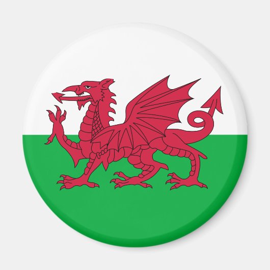 Walisische Flagge (Wales) (walisischer Drache) Magnet (Vorne)