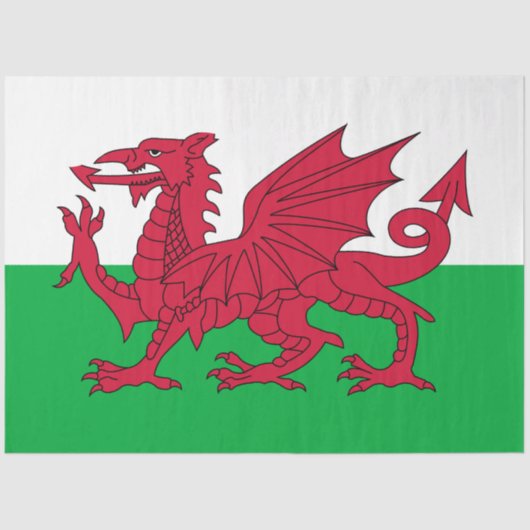 Walisische Flagge (Wales) (walisischer Drache) Seidenpapier (Vorderseite)