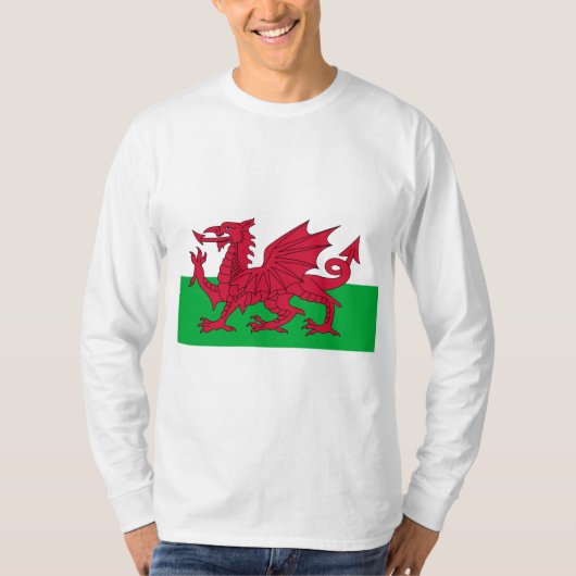 Walisische Flagge (Wales) (walisischer Drache) T-Shirt (Vorderseite)