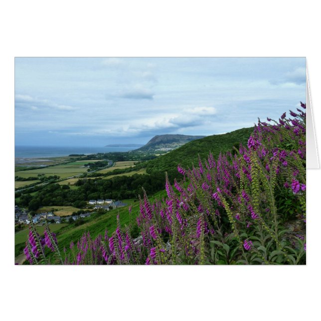 Walisische Küste (Vorderseite (Horizontal))