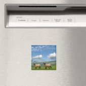 Walisische Lämmer Magnet (In Situ (Geschirrspüler))