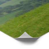 Walisische Lämmer Poster (Ecke)