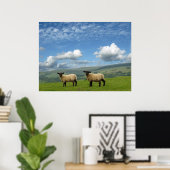 Walisische Lämmer Poster (Heimbüro)