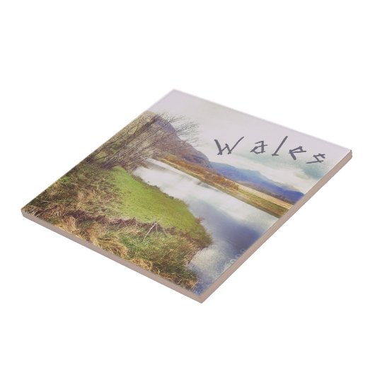 Walisische Landschaft mit Keramik Tile Fliese (Seite)