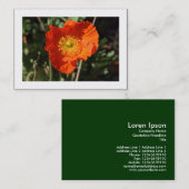 Walisische Mohn (Orange) grenzt an Visitenkarte (Vorne/Hinten)