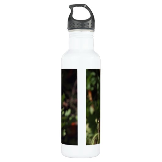 Walisische Mohnblume (Orange) Edelstahlflasche (Rückseite)