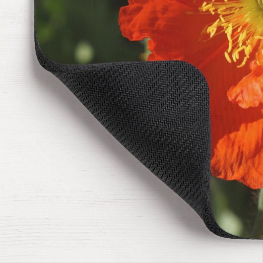 Walisische Mohnblume (Orange) Mousepad (Ecke)