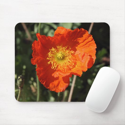 Walisische Mohnblume (Orange) Mousepad (Mit Mouse)