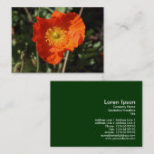 Walisische Mohnblume (Orange) Visitenkarte (Vorne/Hinten)