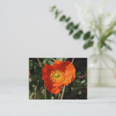 Walisische Mohnblume (Orange) Visitenkarte (Stehend Vorderseite)