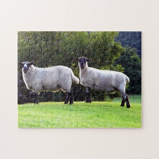 Walisische Schafe Puzzle (Horizontal)