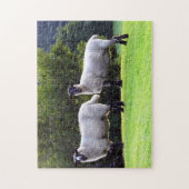 Walisische Schafe Puzzle (Vertikal)