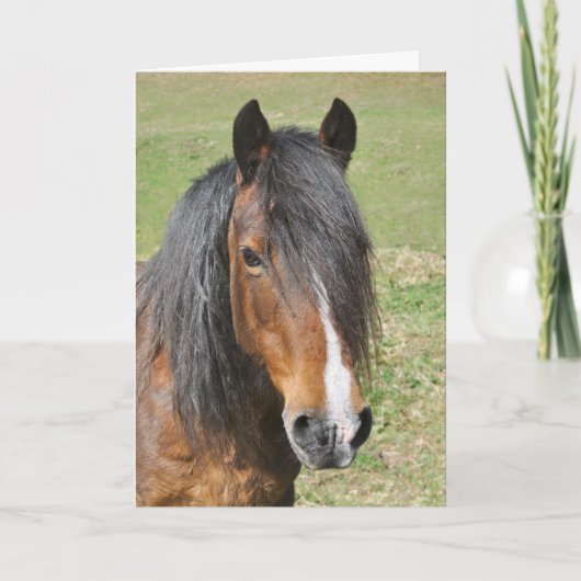 Walisische Sektion D Geburtstag Karte (Vorderseite)