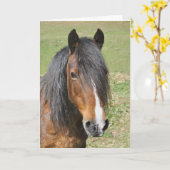 Walisische Sektion D Geburtstag Karte (Gelbe Blume)