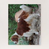 Walisische Springer Spaniel Hund Puzzles. Puzzle (Vertikal)