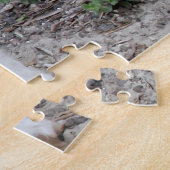 Walisische Springer Spaniel Hund Puzzles. Puzzle (Seite)
