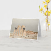 Walisische Terrier an der Küste Karte (Gelbe Blume)