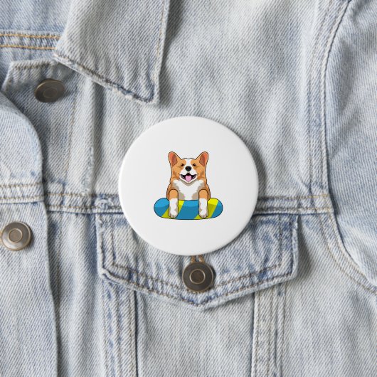 Walisischer Corgi im Schwimmen mit Brett Button (Beispiel)