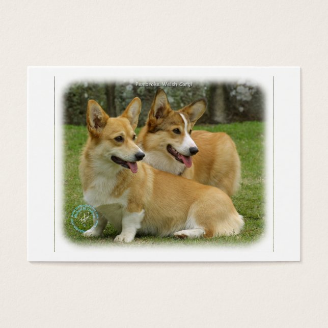 Walisischer Corgi (Pembroke) (Vorderseite)