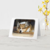 Walisischer Corgi (Pembroke) Karte (Gelbe Blume)