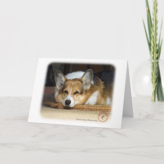 Walisischer Corgi (Pembroke) Karte (Vorderseite)