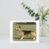 Walisischer Corgi (Pembroke) Postkarte (Stehend Vorderseite)
