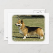 Walisischer Corgi (Pembroke) Postkarte (Vorne/Hinten)