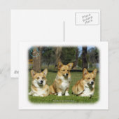 Walisischer Corgi (Pembroke) Postkarte (Vorne/Hinten)