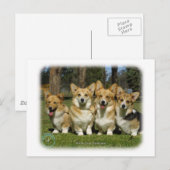 Walisischer Corgi (Pembroke) Postkarte (Vorne/Hinten)