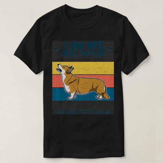 Walisischer Corgi Pullover Geschenk Frauen Pullove (Design vorne)