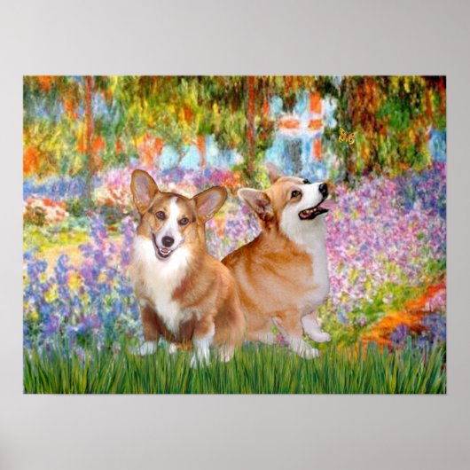 Walisischer Corgis (zwei Pembroke) -Garten bei Giv Poster (Vorne)