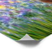 Walisischer Corgis (zwei Pembroke) -Garten bei Giv Poster (Ecke)