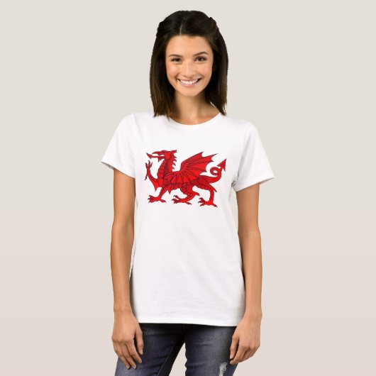 Walisischer Drache mit Kegeleffekt-T - Shirt (Vorne ganz)