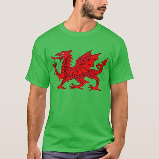 Walisischer Drache mit Kies-Effekt T-Shirt (Vorderseite)