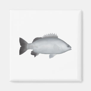 Walisischer Grunter Magnet