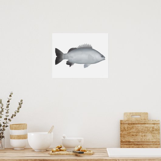 Walisischer Grunter Poster (Küche)