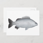 Walisischer Grunter Postkarte (Vorne/Hinten)