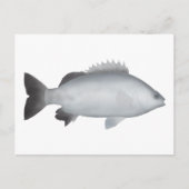 Walisischer Grunter Postkarte (Vorderseite)