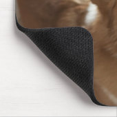 Walisischer Pembroke Korgi Hund liegt auf Holzbode Mousepad (Ecke)