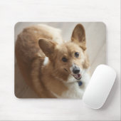 Walisischer Pembroke Korgi Hund liegt auf Holzbode Mousepad (Mit Mouse)