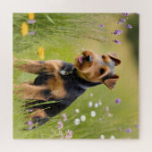 Walisischer Terrier in Wildblume Wiese Puzzle (Horizontal)