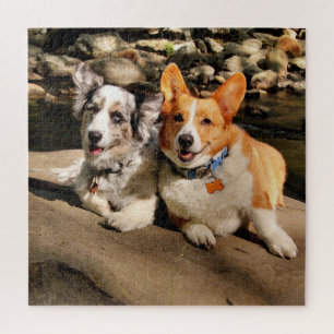 Walisisches Corgis-Puzzle Puzzle