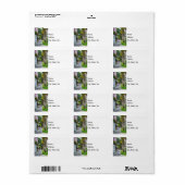 Walk Along Rainbow Row Adressaufkleber (Vorne)