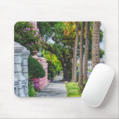 Walk Along Rainbow Row Mousepad (Mit Mouse)