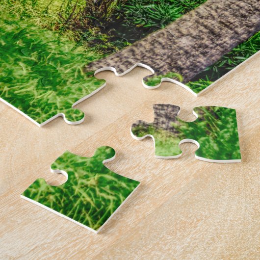 Walk Along Rainbow Row Puzzle (Seite)